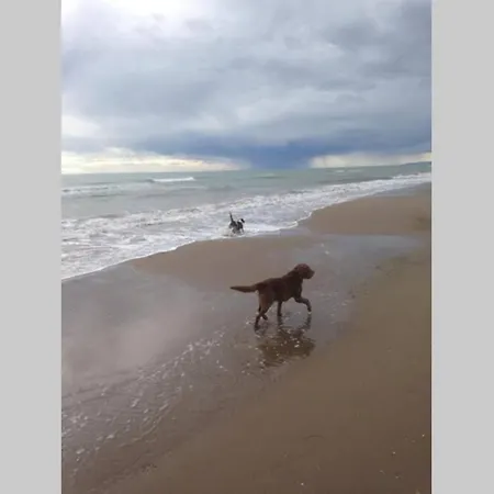 Сasa de vacaciones Lo Guaret. *